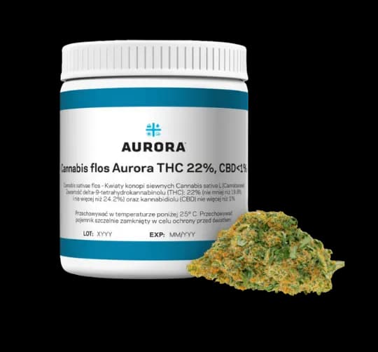 Medyczna marihuana w Polsce dla kogo? Poznaj warunki i proces uzyskania recepty